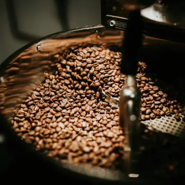 Geröstete Kaffeebohnen in der Rösttrommel